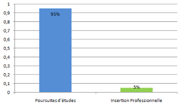 l'insertion des dut 2010